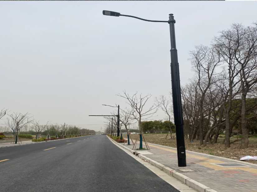利津县上海综合杆 太阳能路灯工程